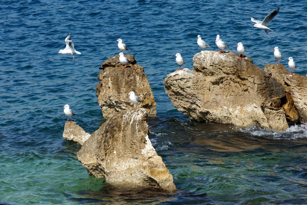 White Residence Luxury Apartments Sarandë 객실 사진